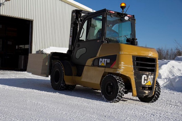 Cat at work