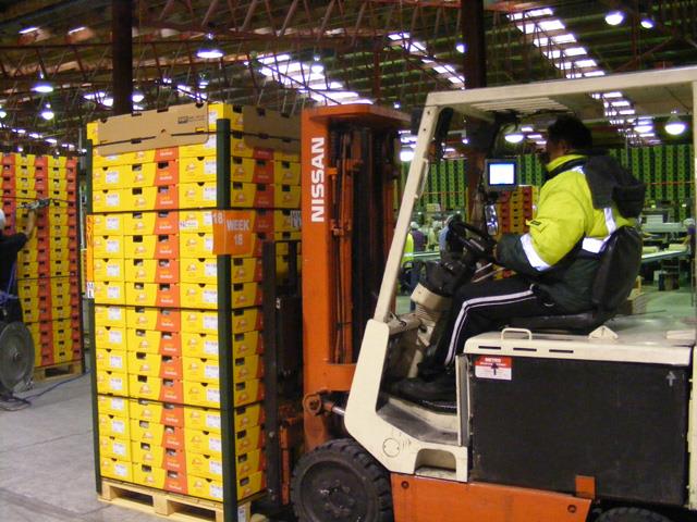 A national campaign will specifically look at the safety of forklift operations.
