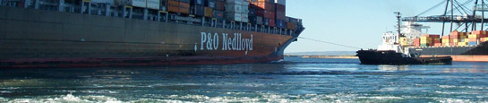 Flinders Ports has commited to revitalise the Port of Adelaide and the six other ports it operates in South Australia.