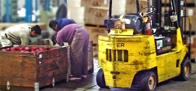 Fuel-powered forklifts emit carbon monoxide which can quickly build up in a confined space.