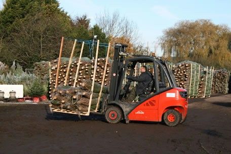 Christmas tree wholesaler Frenchay Forestry depends on Linde Forklift Truck Hire this time of year.