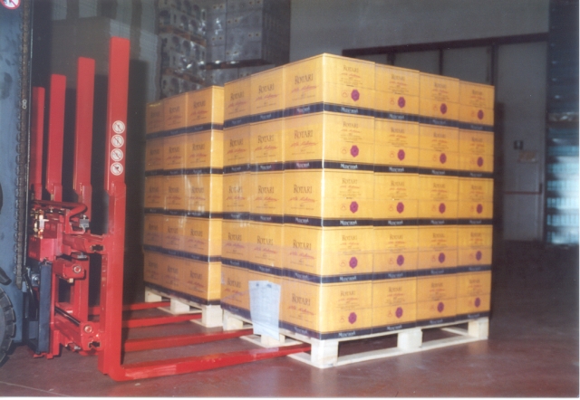 Bolzoni Auramo Single Double Pallet Handler