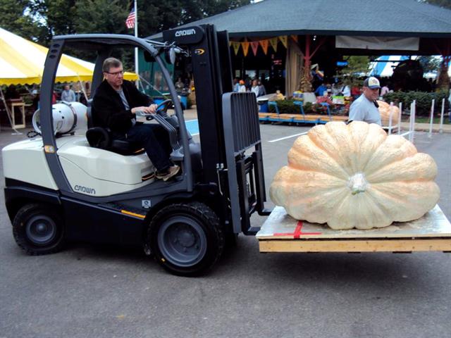 Pumpkinfest's Leon Homan moves a Cucurbita maxima.<br />PHOTO: CROWN EQUIPMENT CORP.
