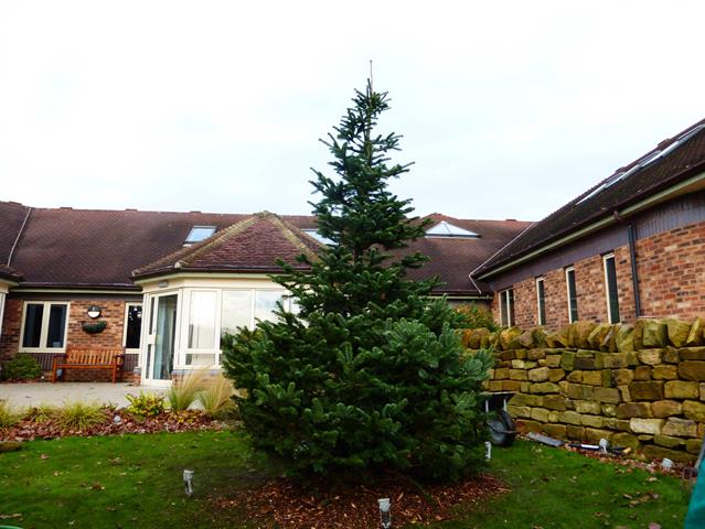 The tree planted in the hospice grounds.