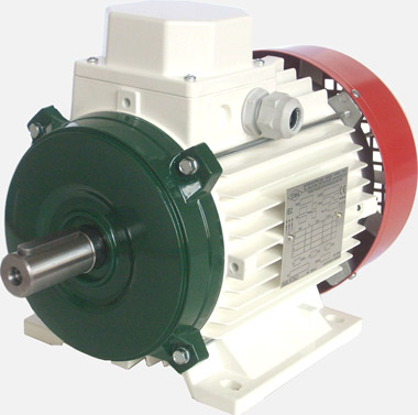 CIMA 1915 three-phase motor IE3
