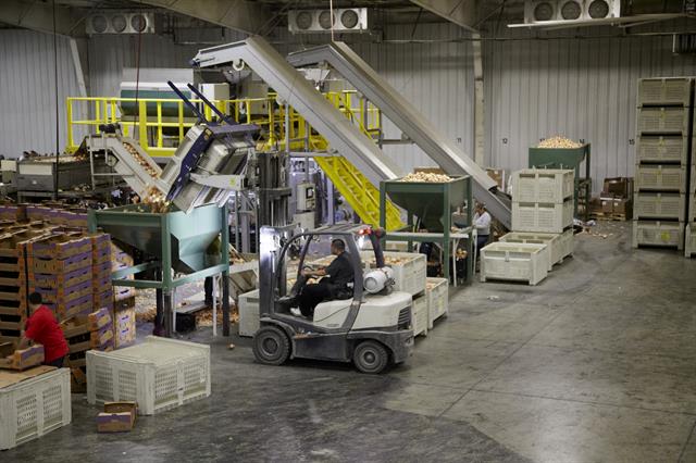 Crown helps onion packer