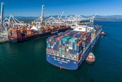 Large vessels calling at Port Metro Vancouver at GCT Deltaport