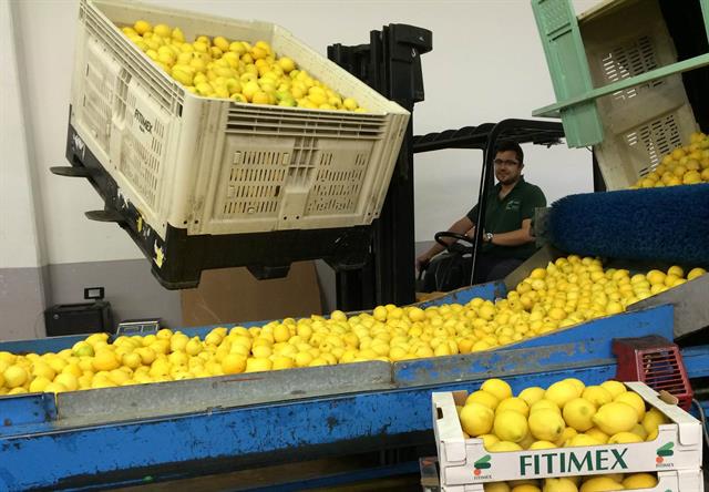 Bolzoni Auramo RC Rotator handling