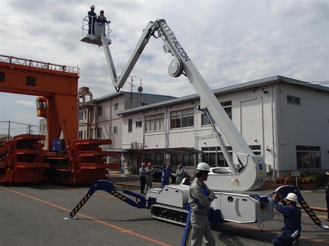 The Falcon Spider has arrived in Japan