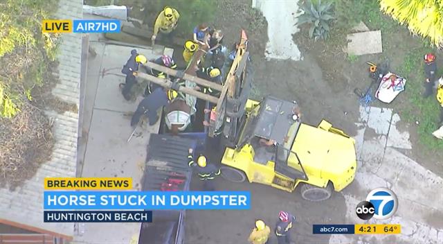 Forklift to the rescue