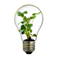 What powers your growth?