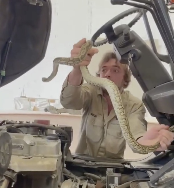 Is that a snake in your forklift?