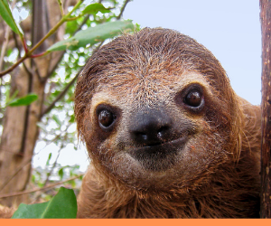 No fuss! - eliminate the hassle of managing a successful advertising campaign