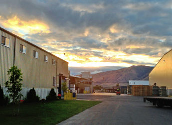 Allan Brothers switched its 25 forklifts from lead acid to lithium-ion