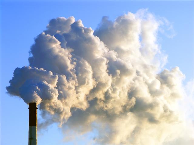 Every little bit helps to reduce our carbon footprint. <br />PHOTO: SHUTTERSTOCK