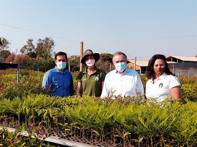 Jungheinrich supports reforestation in Brazil