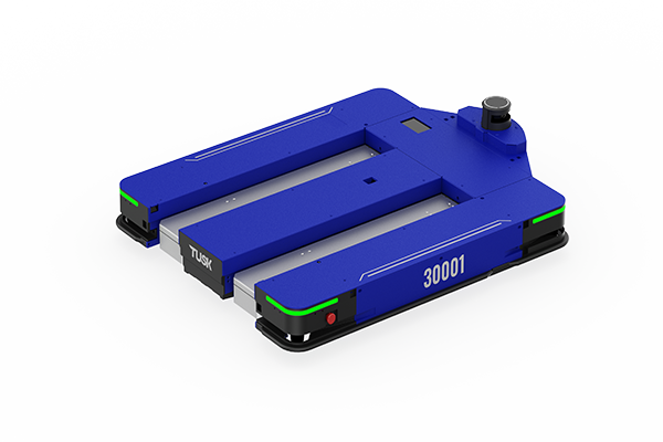 TUSKROBOTS E10 (SLAM+DM Code Version) APR