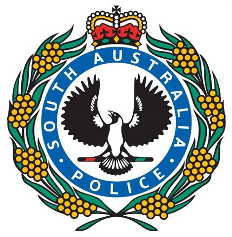 Man charged over scissor lift escapade