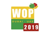WOP DUBAI 2019 WOP DUBAI 2019