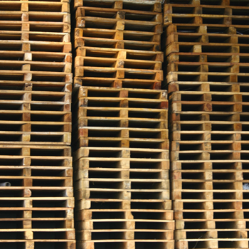 Container demand is increasing. PHOTO: CONTINENTAL PACKAGING SOLUTIONS