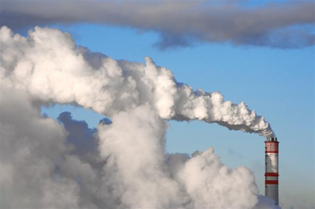 California has delayed emissions regulations.<br />PHOTO: SHUTTERSTOCK