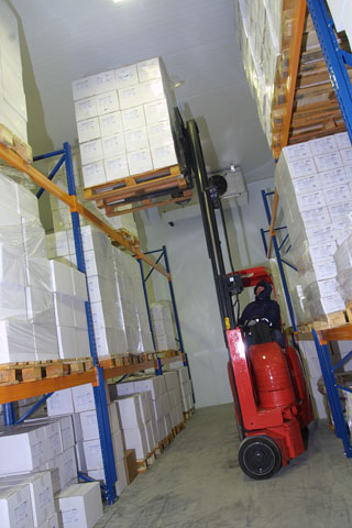 Narrow Aisle Flexi EURO