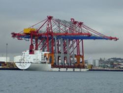 ZMPC portainers (container cranes)