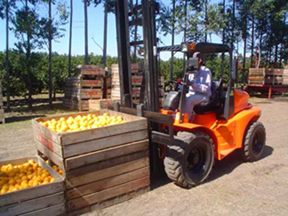 A Mast Explorer H25DA forklift working with oranges in Argentina.