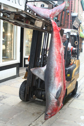 Maggie Hall for the Whitby Gazette/www.whitbytoday.co.uk.