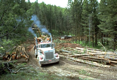 EV Alert - New Cost effective Safety systems for Forklifts and other Heavy Vehicles