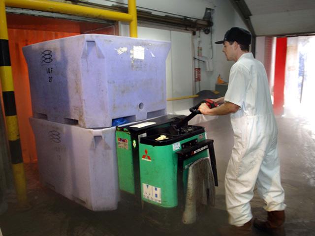 The Mitsubishi PBP20K pallet truck in the cold room.