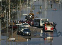 Forklift industry responds to hurricane impact
