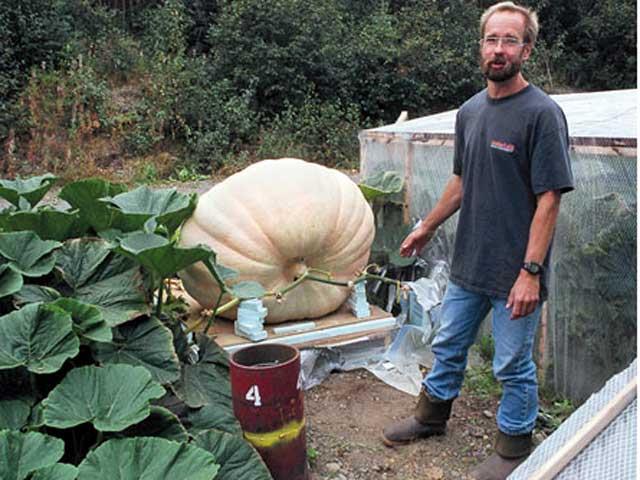 Pumpkin sets new record in Alaska