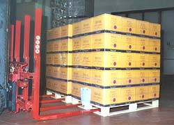 MULTI PALLET HANDLERS, TO HANDLE SEVERAL PALLETS AT A TIME